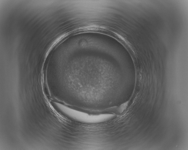 X0000052571418200507221450