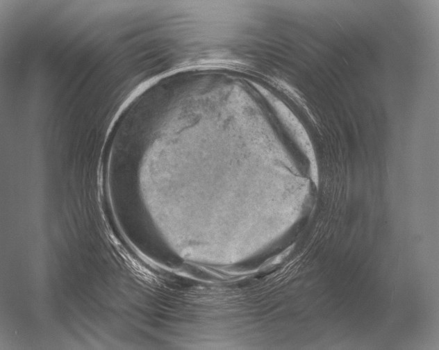 X0000052571420200507221450