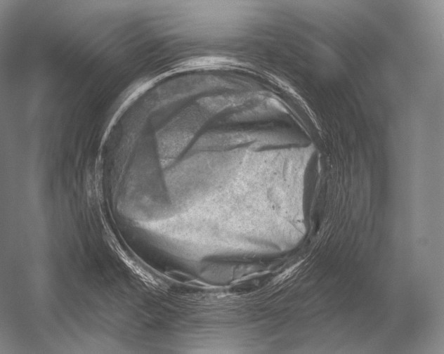 X0000052571421200507221450