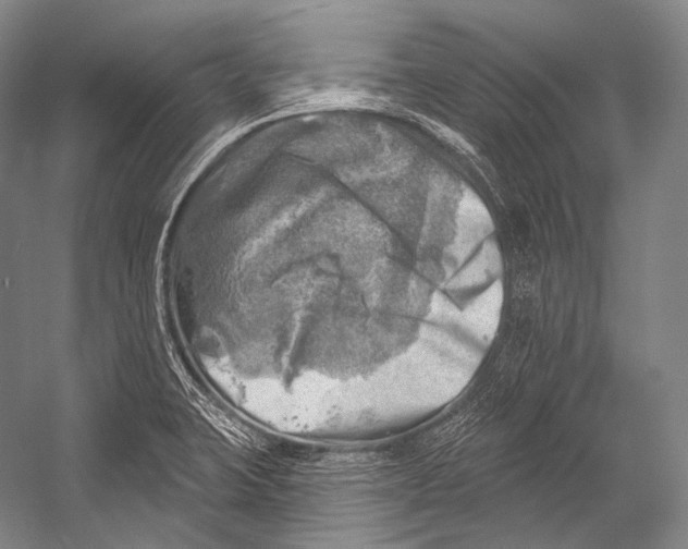 X0000052571423200507221450