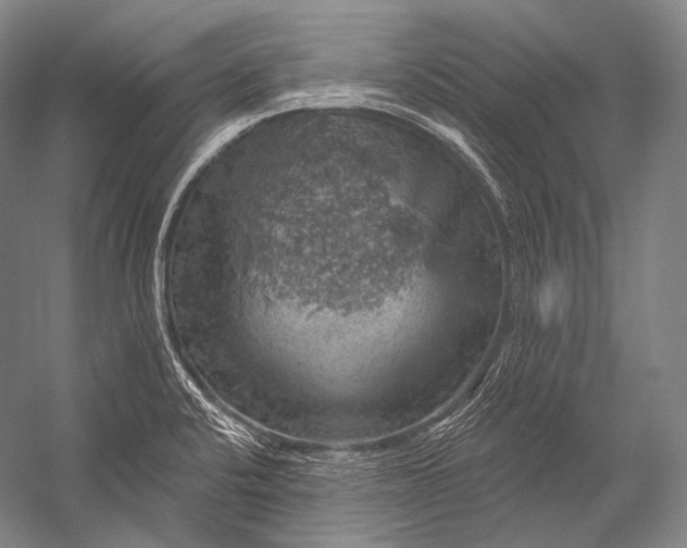 X0000052571424200507221450