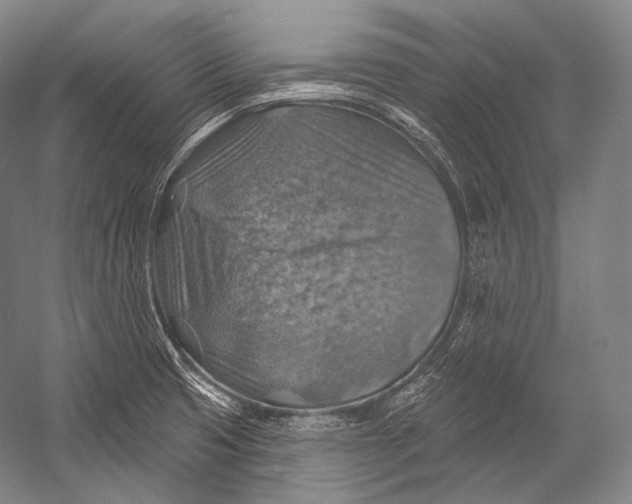 X0000052571425200507221450