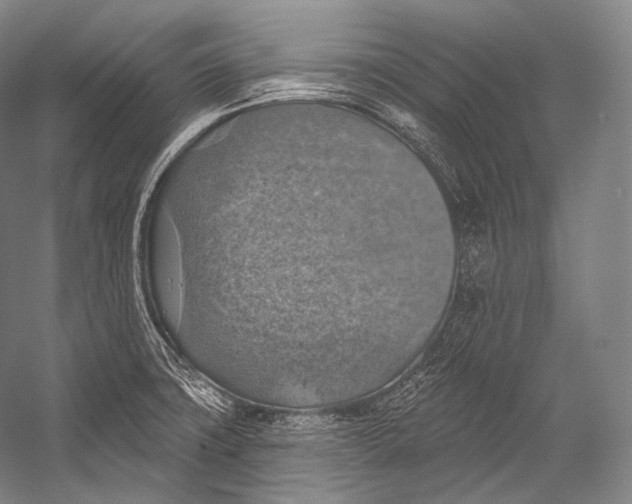 X0000052571427200507221450