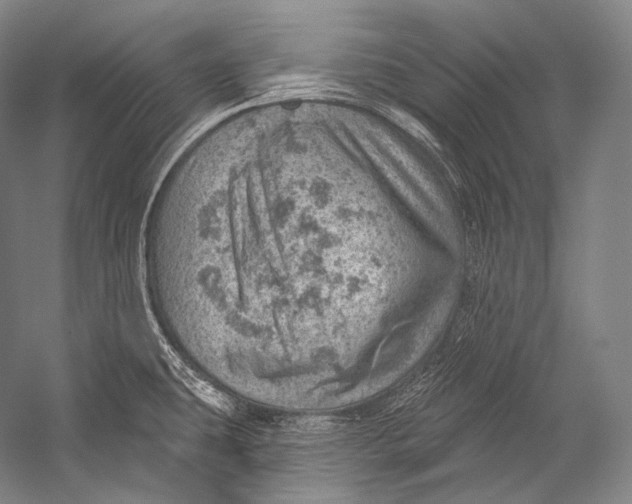 X0000052571431200507221450