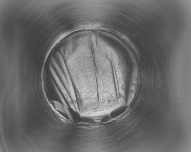 X0000052571432200507221450