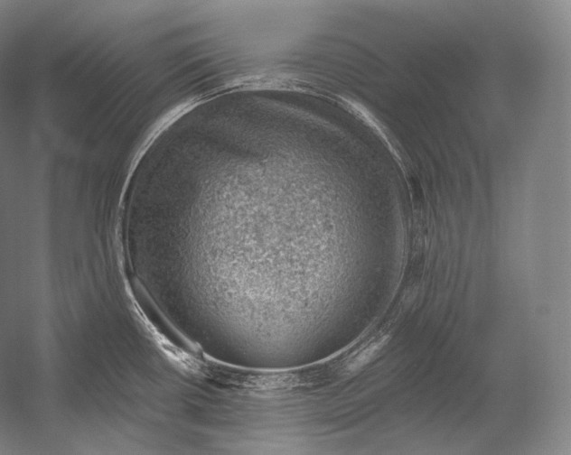 X0000052571434200507221450