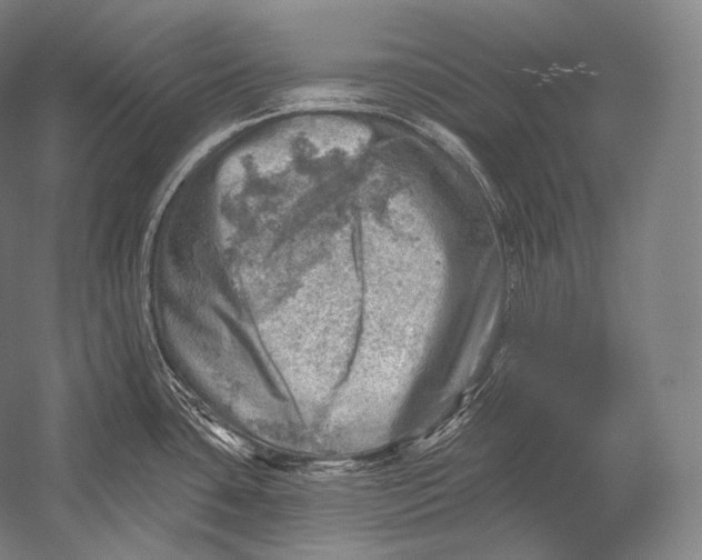 X0000052571435200507221450