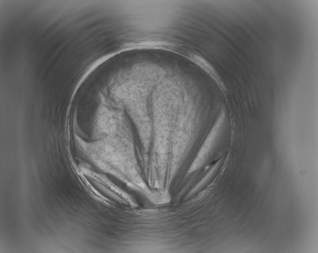 X0000052571436200507221450