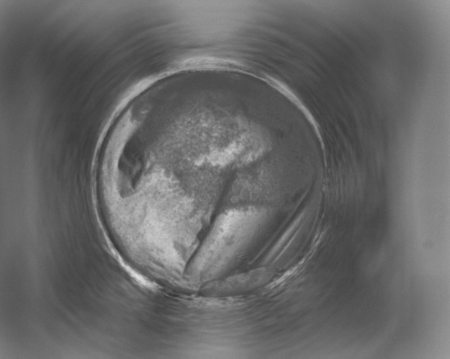 X0000052571437200507221450