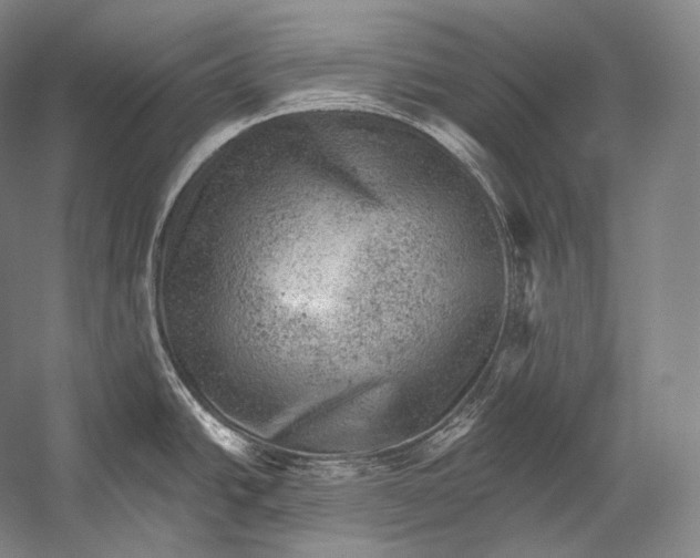 X0000052571438200507221450