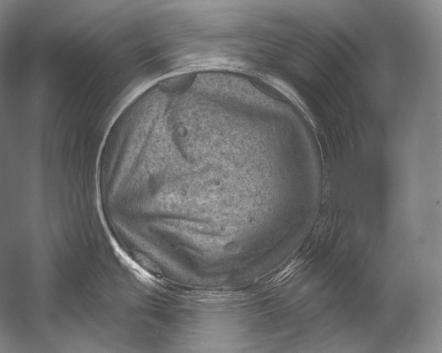 X0000052571439200507221450