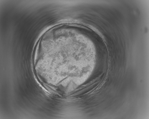 X0000052571440200507221450