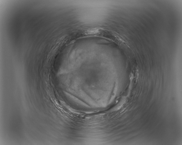 X0000052571441200507221449