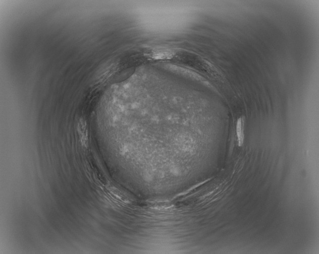 X0000052571443200507221449