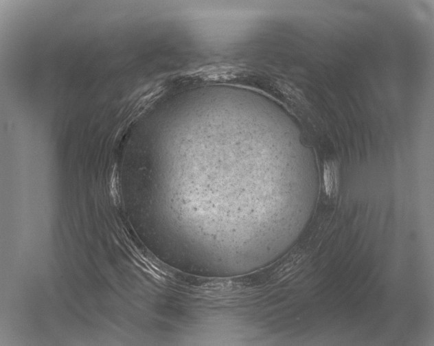 X0000052571444200507221449