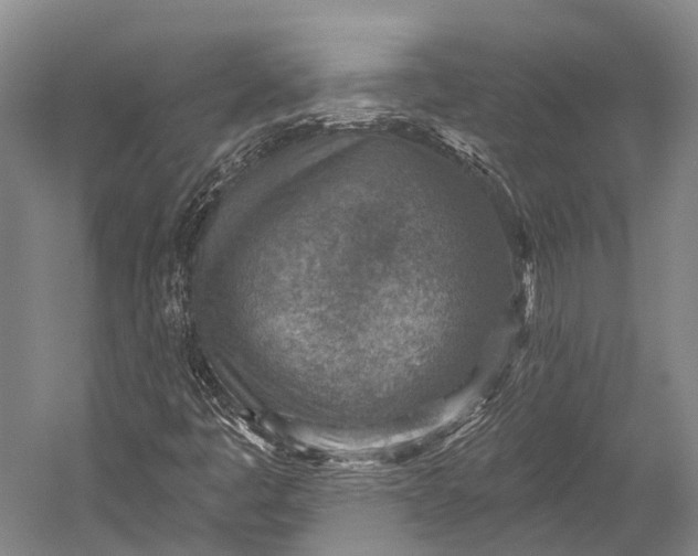 X0000052571445200507221449