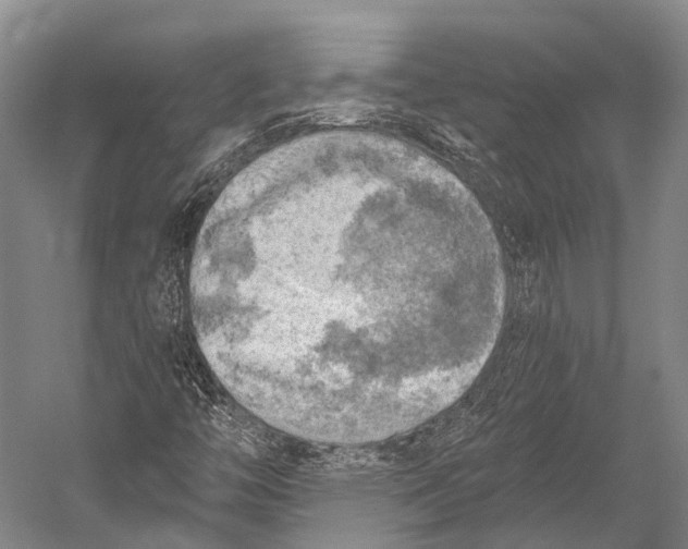 X0000052571446200507221449