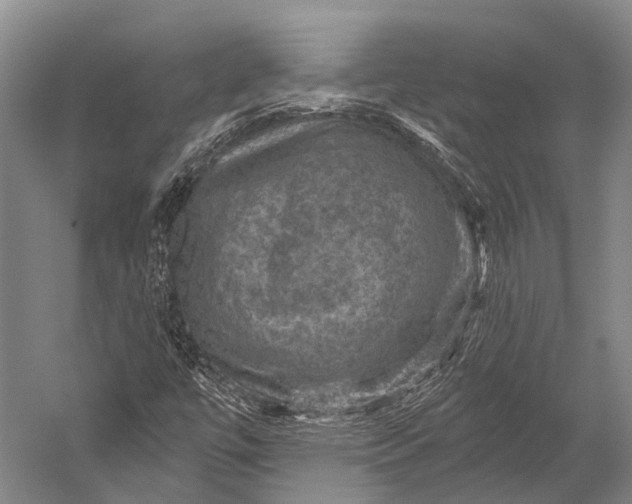 X0000052571447200507221449