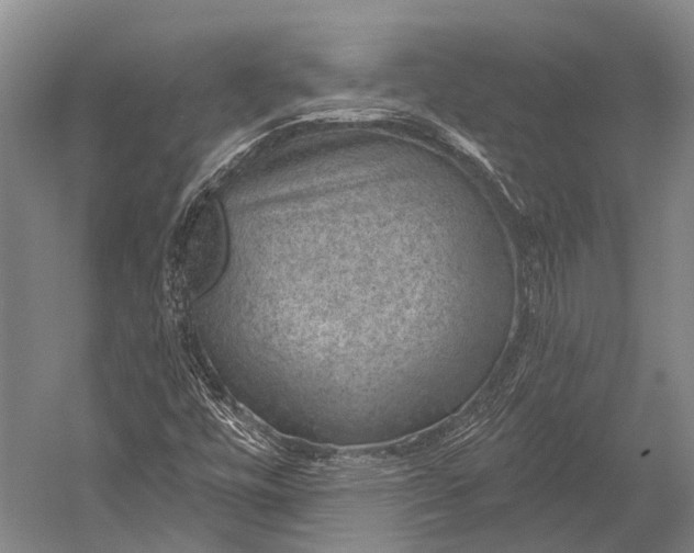 X0000052571448200507221449