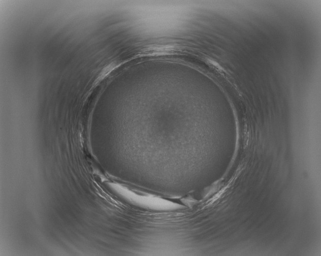 X0000052571449200507221449