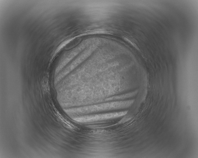 X0000052571452200507221449