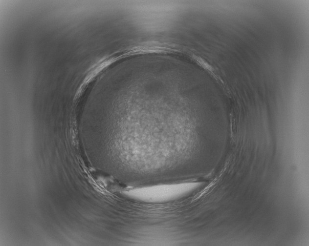 X0000052571453200507221449