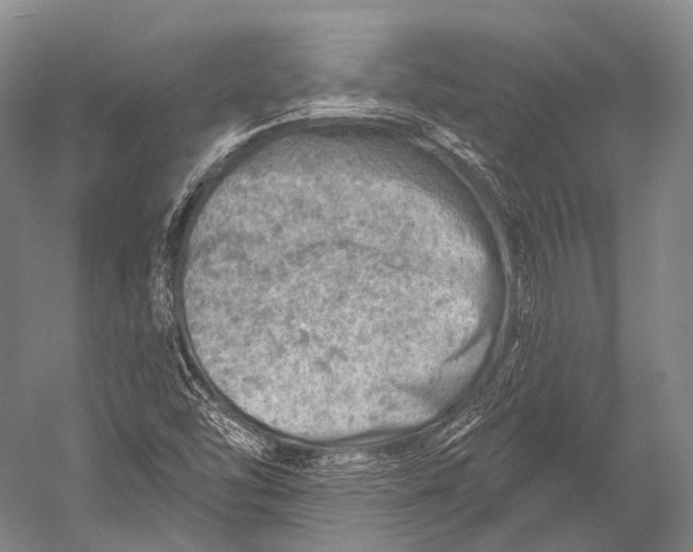 X0000052571454200507221449