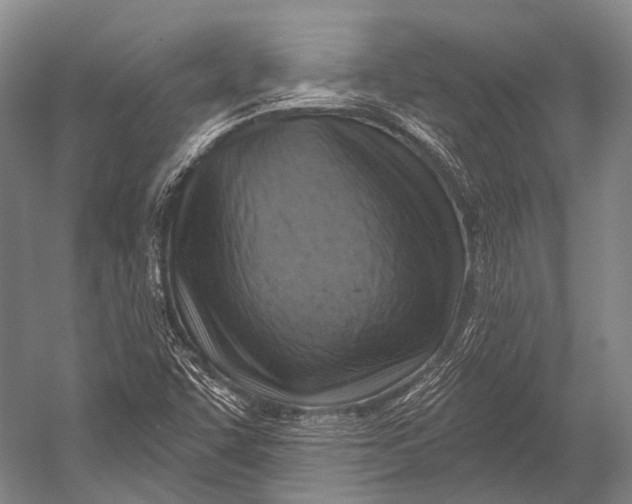 X0000052571455200507221449