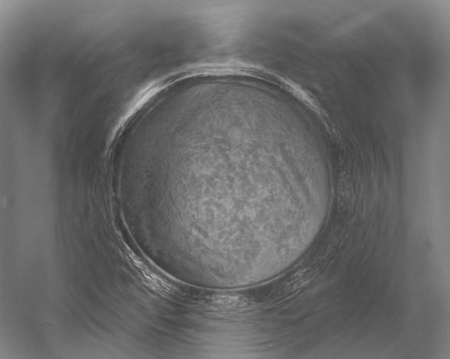 X0000052571456200507221449