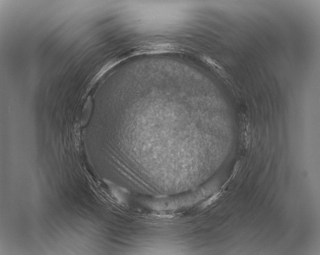 X0000052571457200507221449