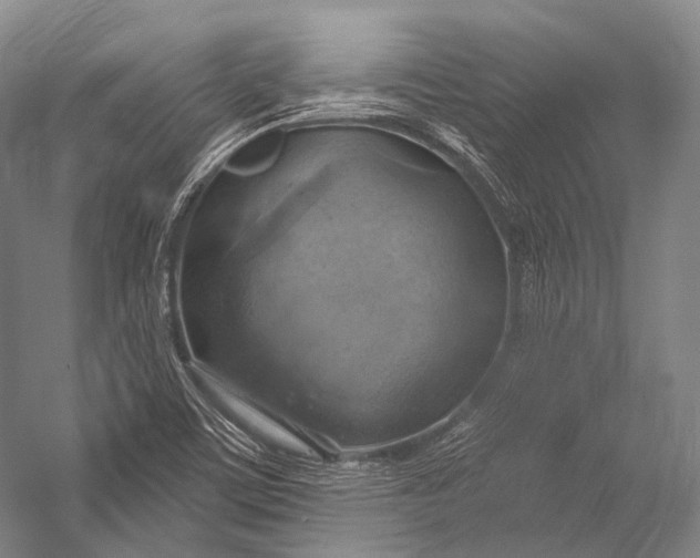 X0000052571459200507221449