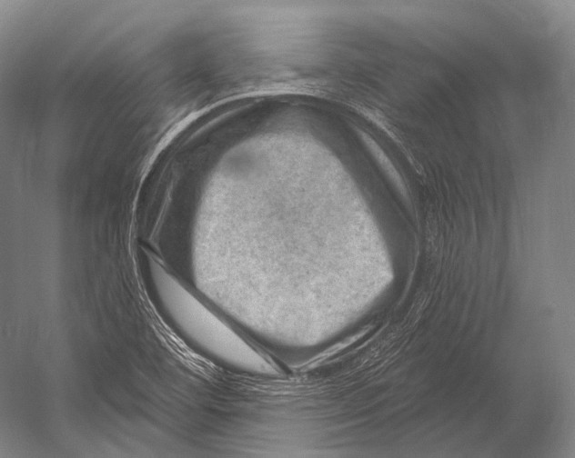 X0000052571460200507221449