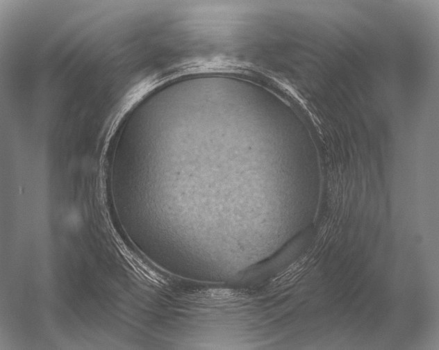 X0000052571463200507221449