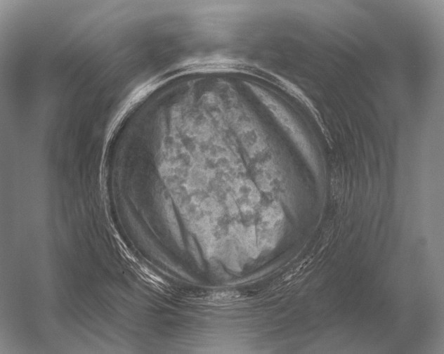 X0000052571464200507221449