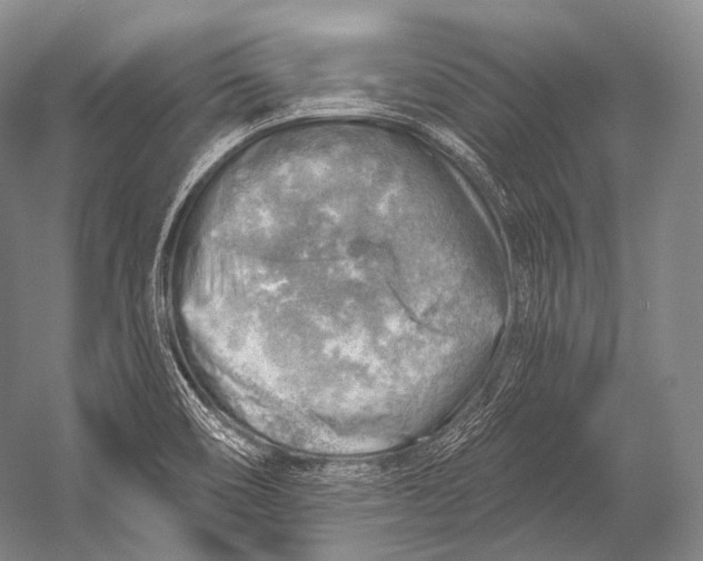 X0000052571466200507221449