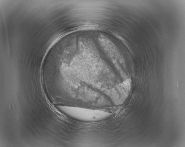 X0000052571467200507221449