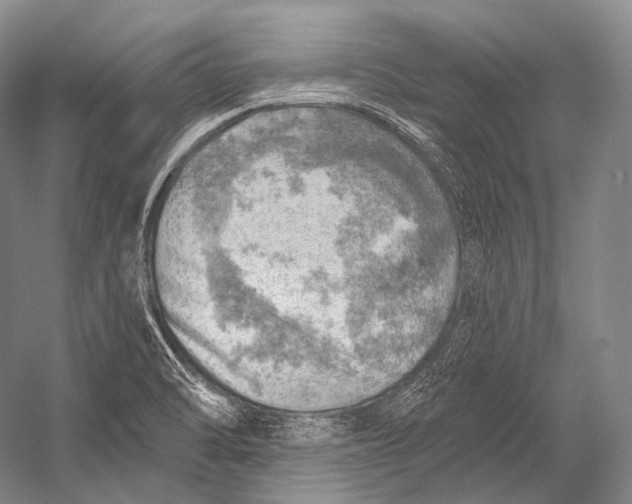 X0000052571470200507221449