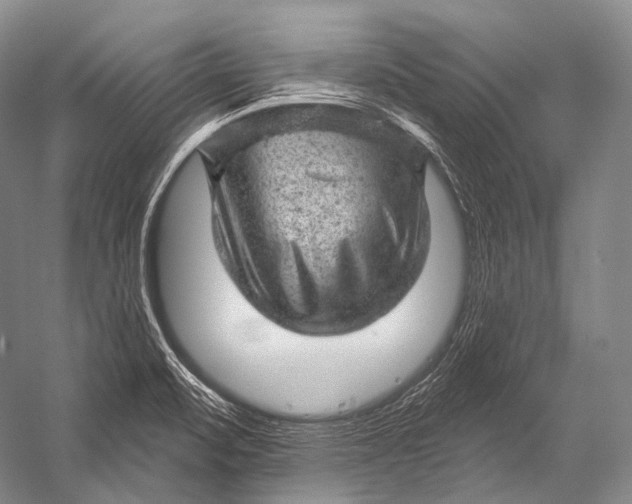 X0000052571471200507221449