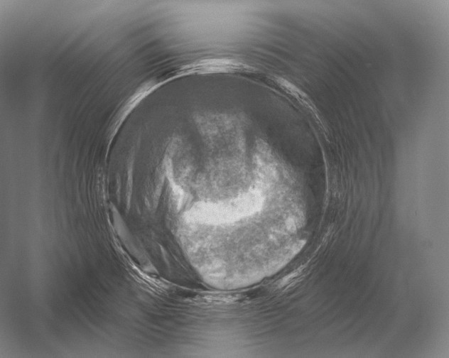 X0000052571473200507221449