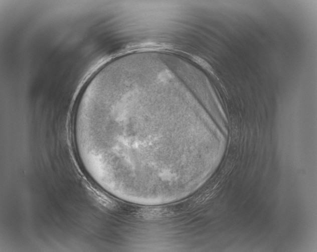 X0000052571474200507221449