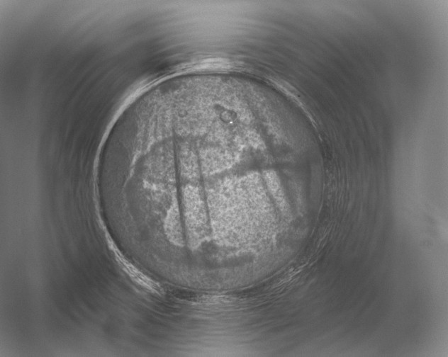 X0000052571475200507221449