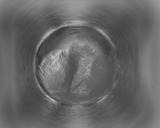 X0000052571477200507221449