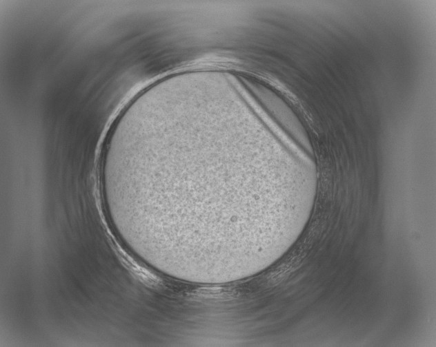 X0000052571478200507221449