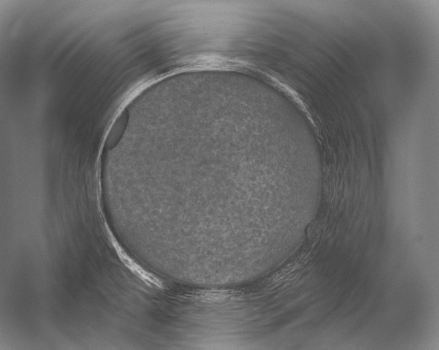 X0000052571479200507221449