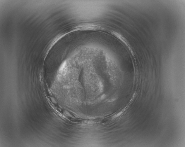 X0000052571481200507221449