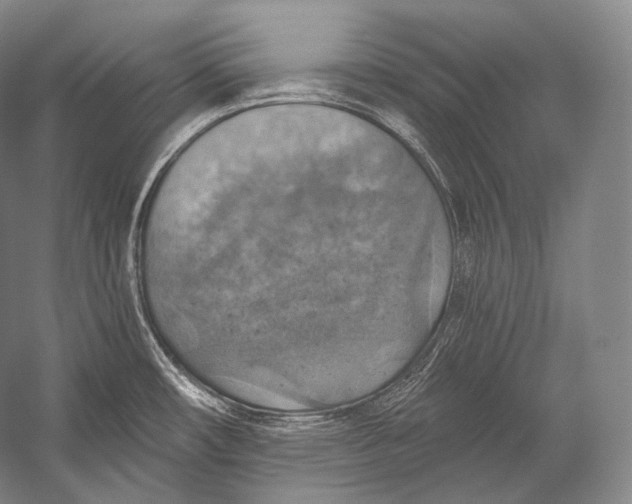 X0000052571482200507221449