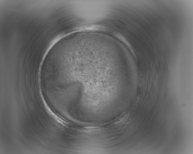 X0000052571483200507221449