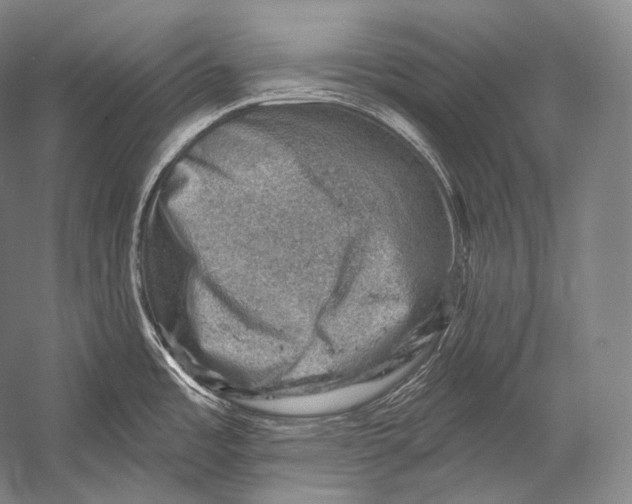 X0000052571485200507221449