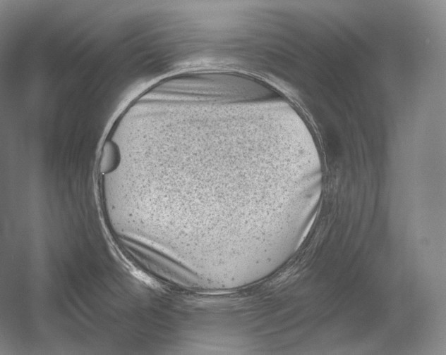 X0000052571486200507221449