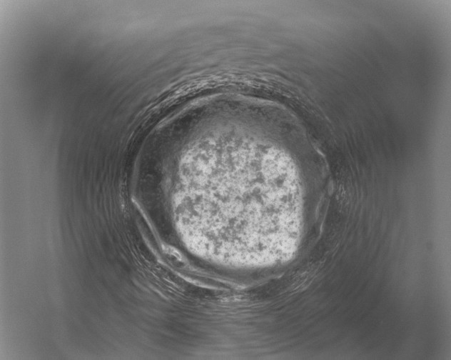 X0000052571490200507221448